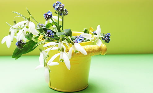 white and blue petaled flowers in yellow vase thumbnail