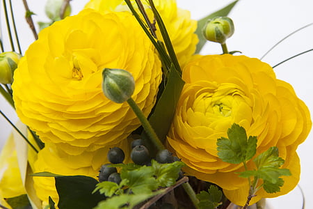 close up photography of yellow ranunculus flowers thumbnail