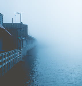 surrounded by fogs thumbnail
