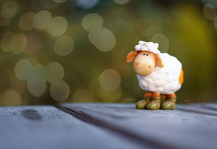 selective focus photo of lamb toy thumbnail