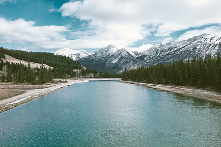 landscape photography of river between tall trees thumbnail