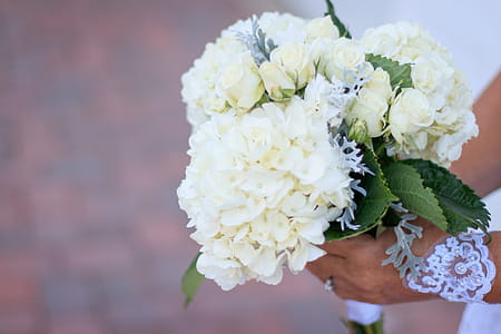 Person Holding Bouquet of White Petaled Flowers thumbnail