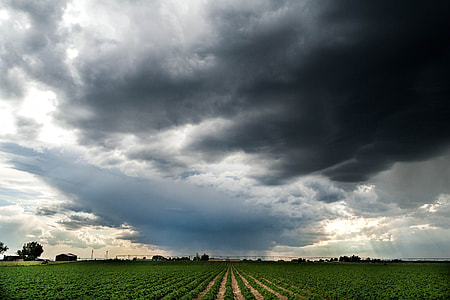 green grass field in stormy weather thumbnail