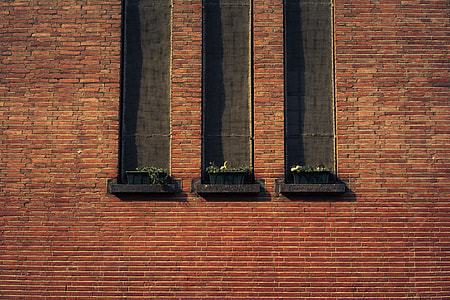green leafed plants on window thumbnail
