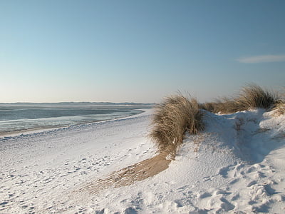 grass beside body of water thumbnail