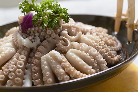 selective focus photo of raw octopus serving on plate thumbnail