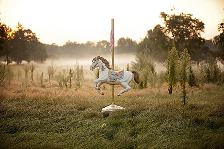 white carousel on green grass field thumbnail