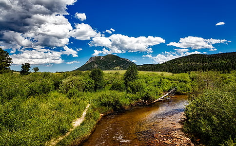 mountain with tress during daytime thumbnail