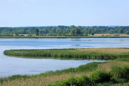 green grass near body of water thumbnail