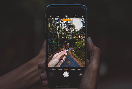 person holding smartphone displaying person holding pinecone at daytime thumbnail