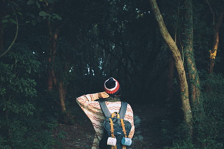 person carrying backpack going towards forest trees thumbnail
