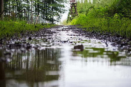 pathway with water during daytime thumbnail