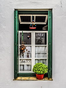 green plant outside window thumbnail