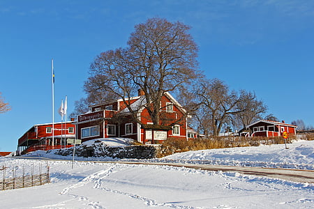 bare tree beside house during daytime thumbnail
