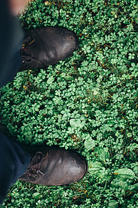 person stepping on green leafed plants thumbnail