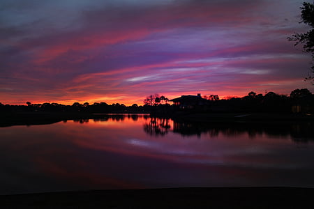 reflective photography of river and trees thumbnail