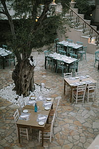 Aerial View of Table Setting thumbnail