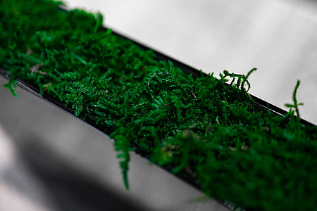 Plants in flowerpots on an exhibition thumbnail