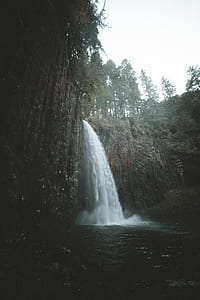 pine trees and falls thumbnail