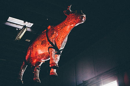 hanging bull decor near wall thumbnail