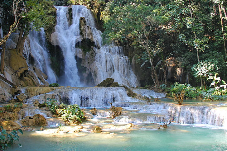 waterfalls surrounded with trees