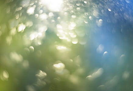 bokeh photograph thumbnail