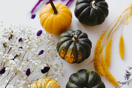 Small yellow and dark green pumpkins on a white background thumbnail
