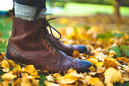person wearing brown leather short-wing boots on dried leaves thumbnail