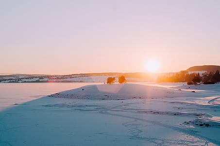 trees on white snow under gray sky during daytime photography thumbnail