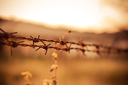 Barbed Wires thumbnail