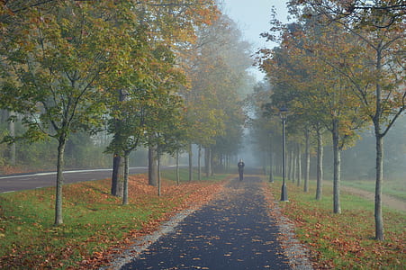 person walking along pathway thumbnail