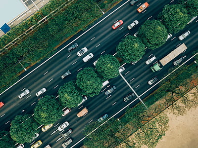 high angle photography of trees and cars thumbnail