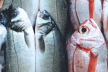 Market Fish thumbnail