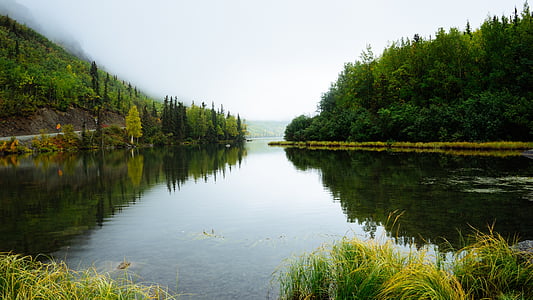 green lake in middle of green forest thumbnail