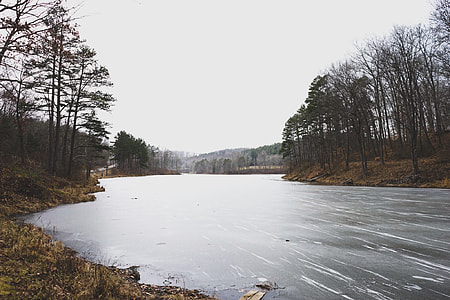 river beside forest thumbnail