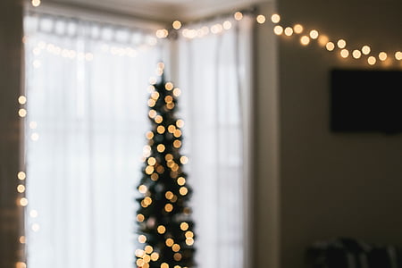 house, interior, design, christmas, lights, window thumbnail