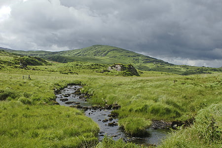 grass field thumbnail