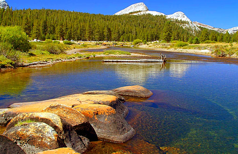 body of water near green trees painting thumbnail