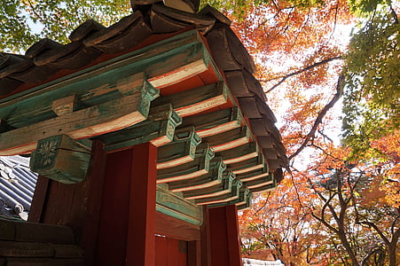 brown, red, and green wooden house thumbnail