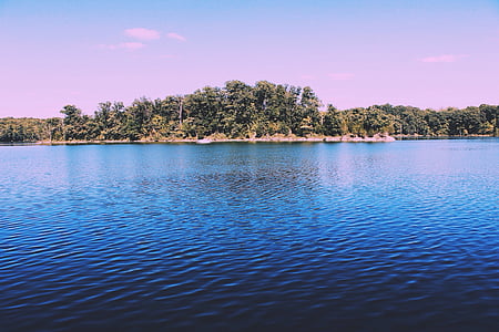 forest and body of water under blue sky thumbnail