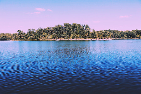 body of water across forest at daytime thumbnail