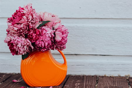 landscape photography of red clustered flowers on orange pot thumbnail