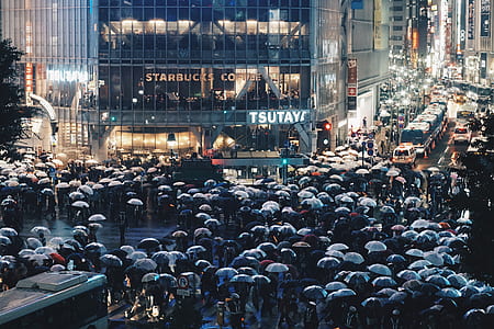 people holding umbrellas in front of Starbucks Coffee building thumbnail