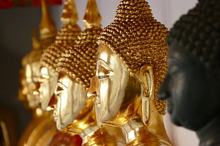 closeup photography of gold-colored buddha figurines thumbnail