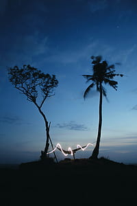 hammock hanged between trees with LED strip light at night thumbnail