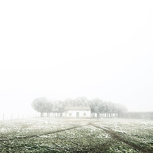 white house surrounded with trees under white sky thumbnail