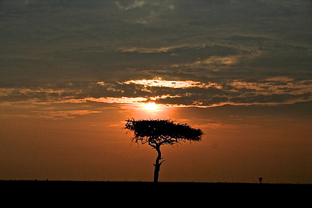 Sunset over the Plains landscape in Kenya thumbnail