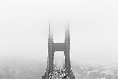 aerial view photography of bridge during fog thumbnail