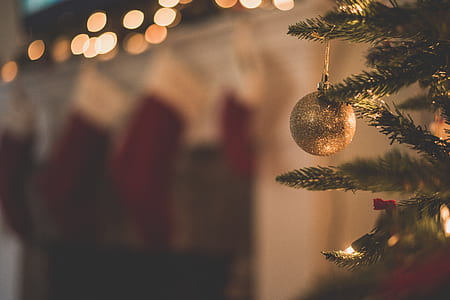 shallow focus photography of gold bauble hanging on Christmas tree thumbnail