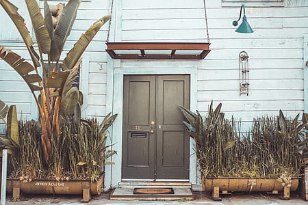 close double door with banana plants on side thumbnail